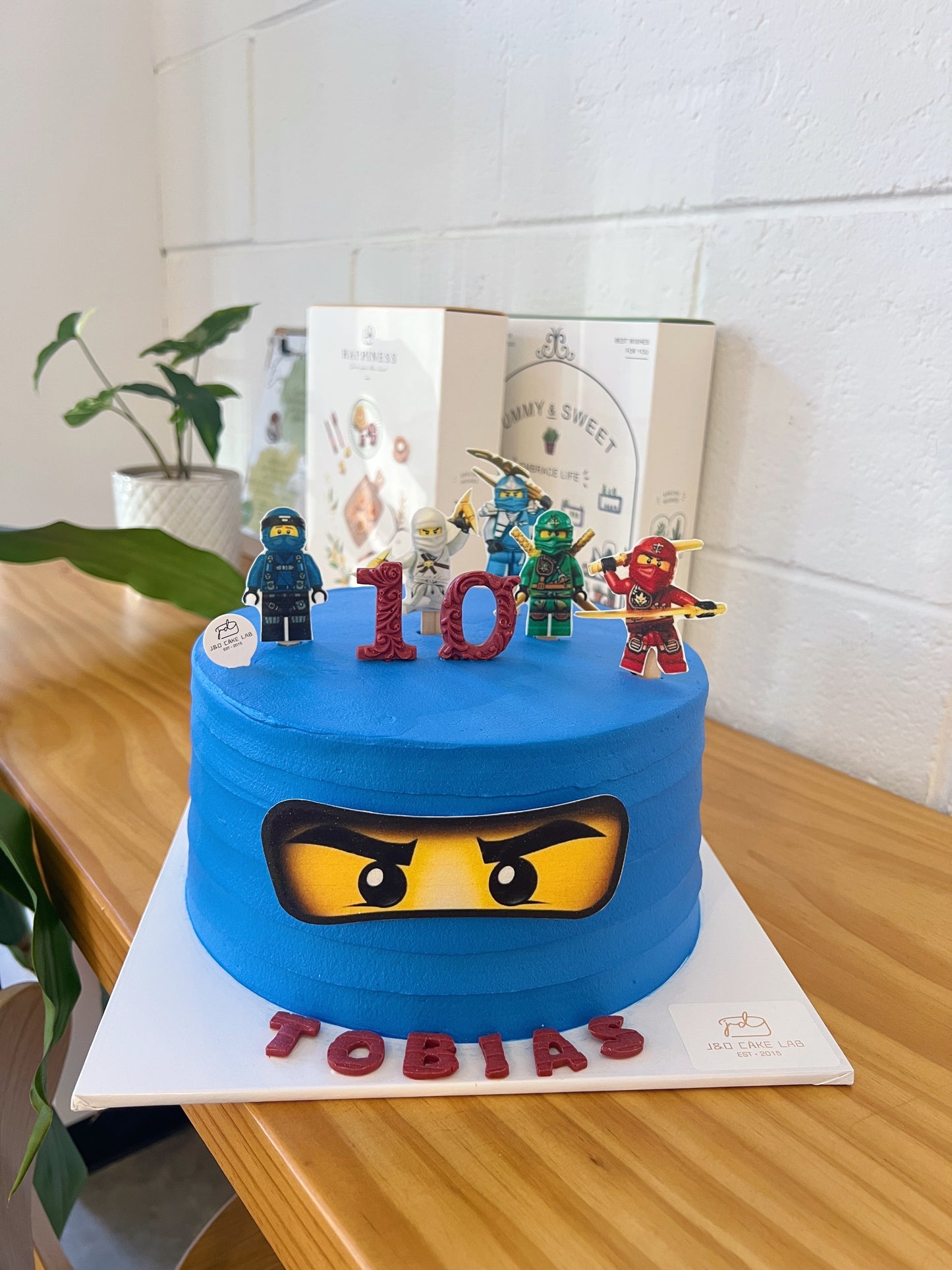 Edible Printing Ninjago Birthday Cake